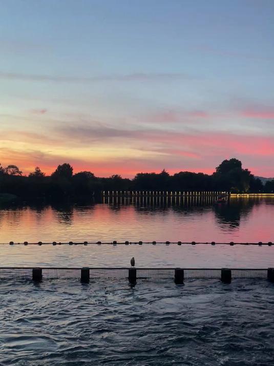 暑假中杭州西湖花港观鱼晚霞太惊艳了,空了快来欣赏一番吧!