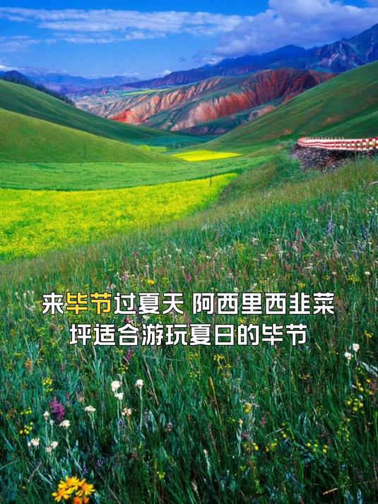阿西里西韭菜坪适合游玩,来毕节过夏天