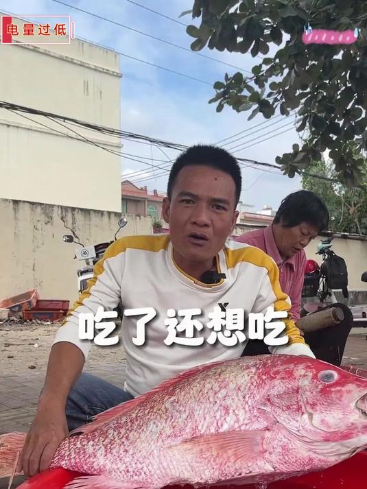 #百家号618现金奖励带货挑战赛#一条红鱼给你们吃_买红鱼干吃或者送礼记得找我哦#618必