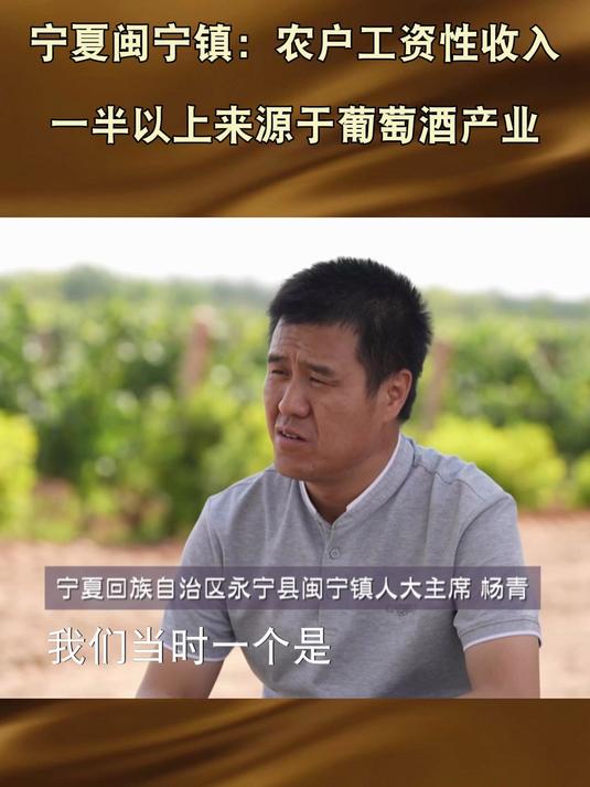 宁夏闽宁镇:农户工资性收入一半以上来源于葡萄酒产业