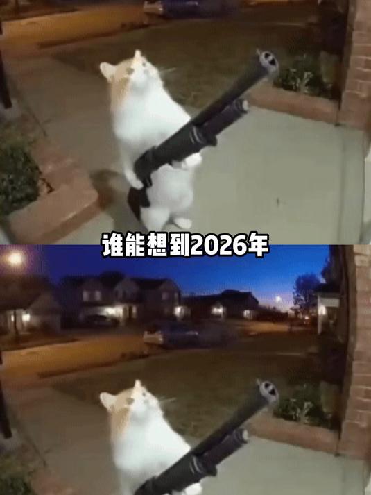 2026开年大案,谁鲨了我的大公鸡 #热点 #万万没想到 #震惊 #离谱 #反转