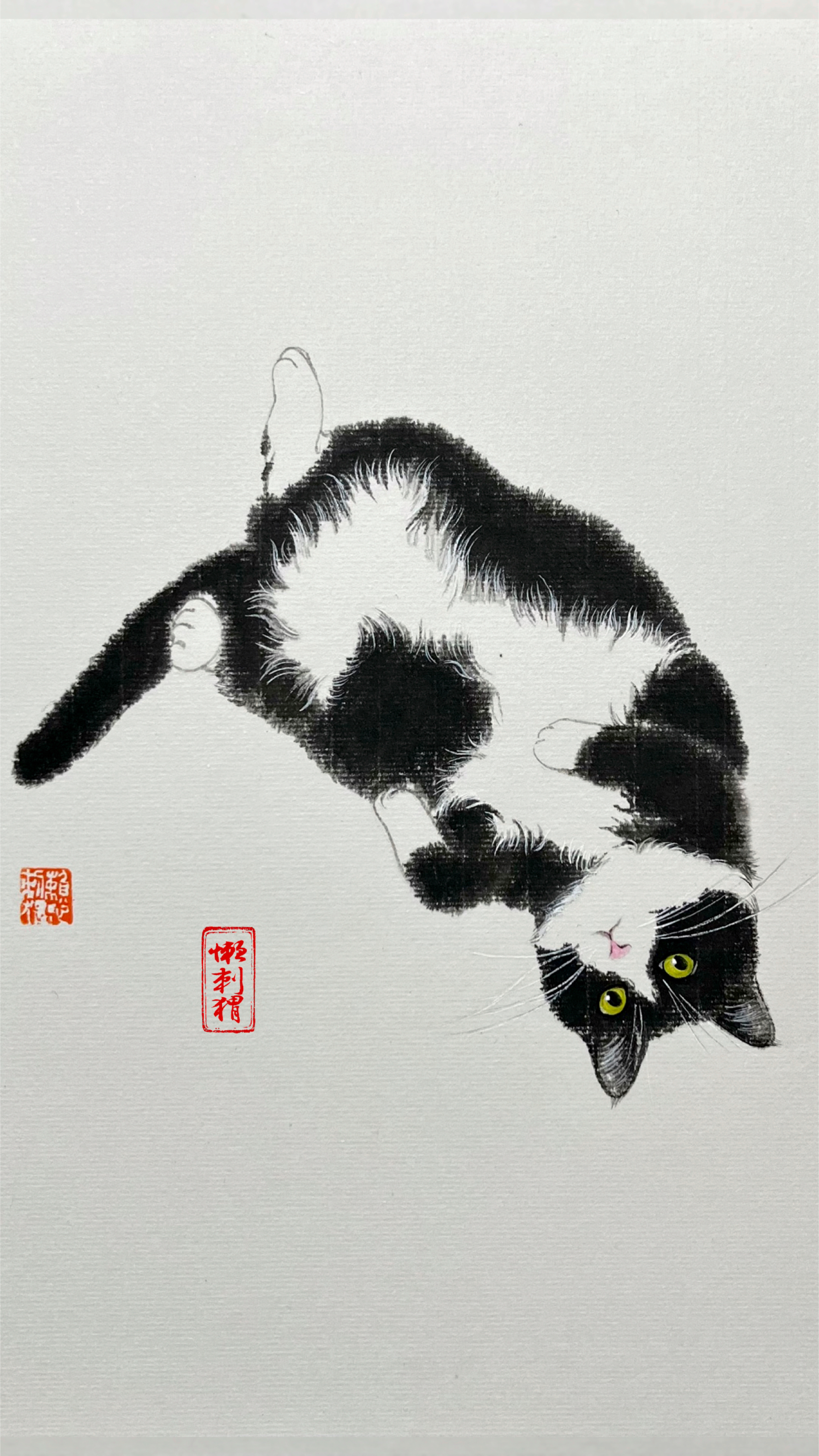国画猫咪的画法 谁家还有小可爱发出来看看呀