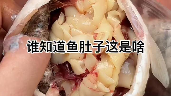 女子杀鱼发现鱼肚里有“宽面条”,被提醒是寄生虫,吓到立马扔了