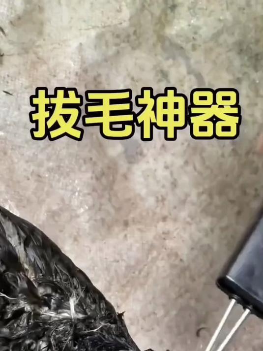 全自动家禽拔毛器电动去鸡鸭鹅拔毛器多功能防水充电家商用脱毛机