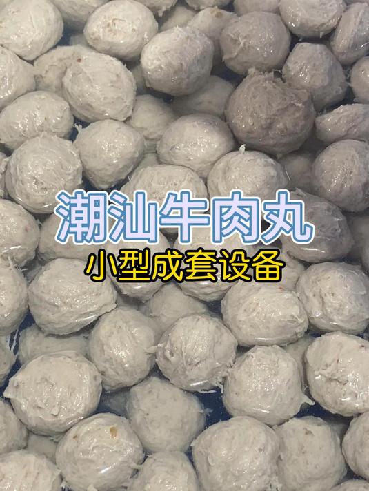 潮汕牛肉丸小型成套设备是哪些?包括绞肉机、打浆机、丸子机