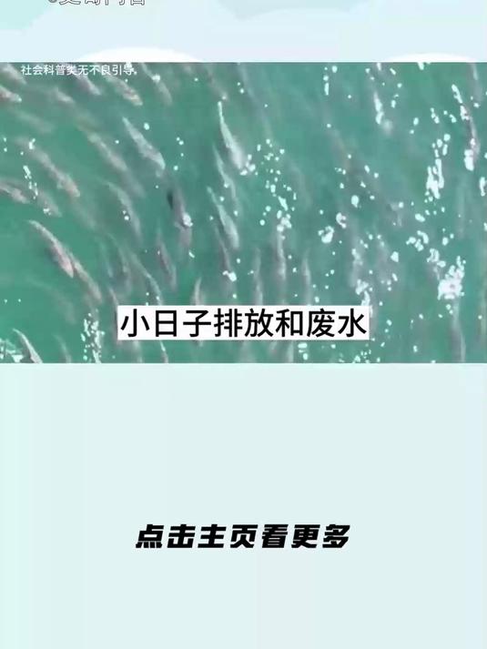 海鲜还能吃吗?怎么区分核污染海鲜?