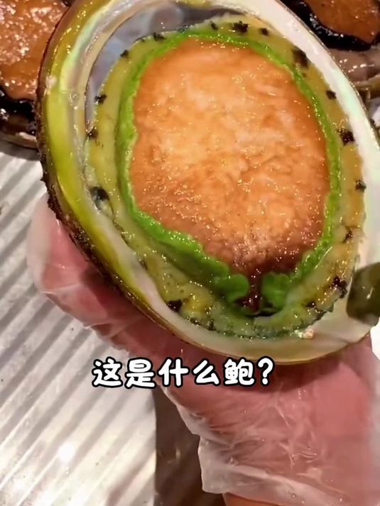带大家认识12种鲍鱼,看看你吃过几种?
