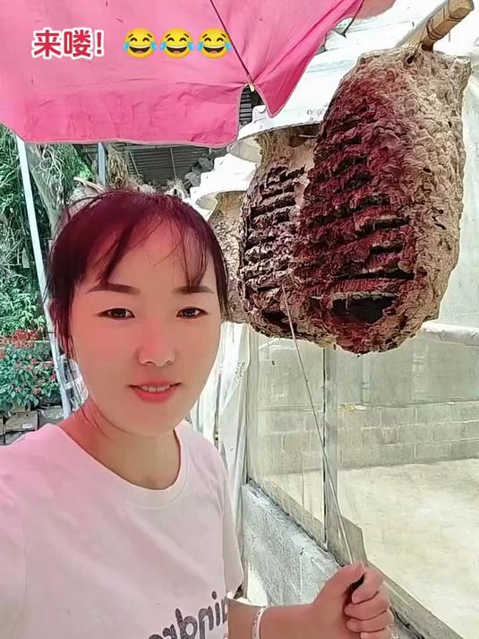 锯齿刀 不掉渣渣的切刀 跟我学烘焙 烘焙 吐司面包