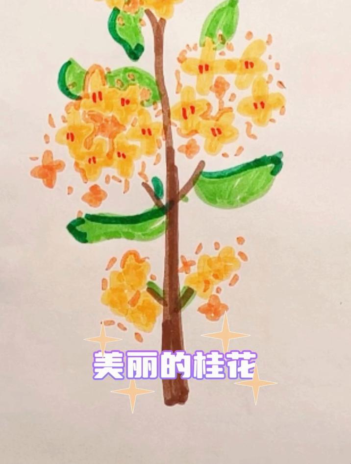 小朋友们,快来学用马克笔画美丽的桂花简笔画,简单又好看