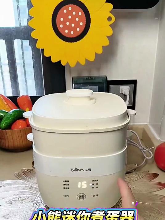 小熊（Bear）煮蛋器 蒸蛋器 小型电蒸锅自动断电 家用多功能早餐？