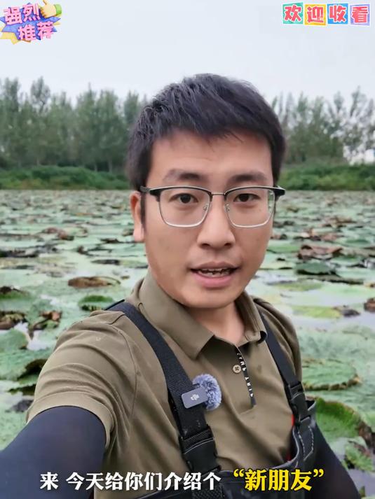 我猜有大部分人没吃过这个 鸡头果_