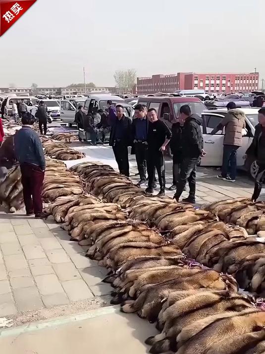 高档男士可拆解派克服,东北零下穿着都暖和的男士外套!