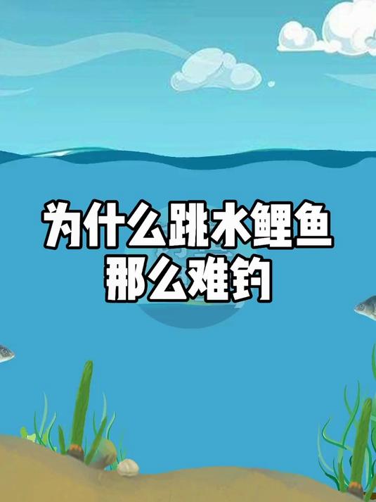 为什么跳水的鲤鱼那么难钓
