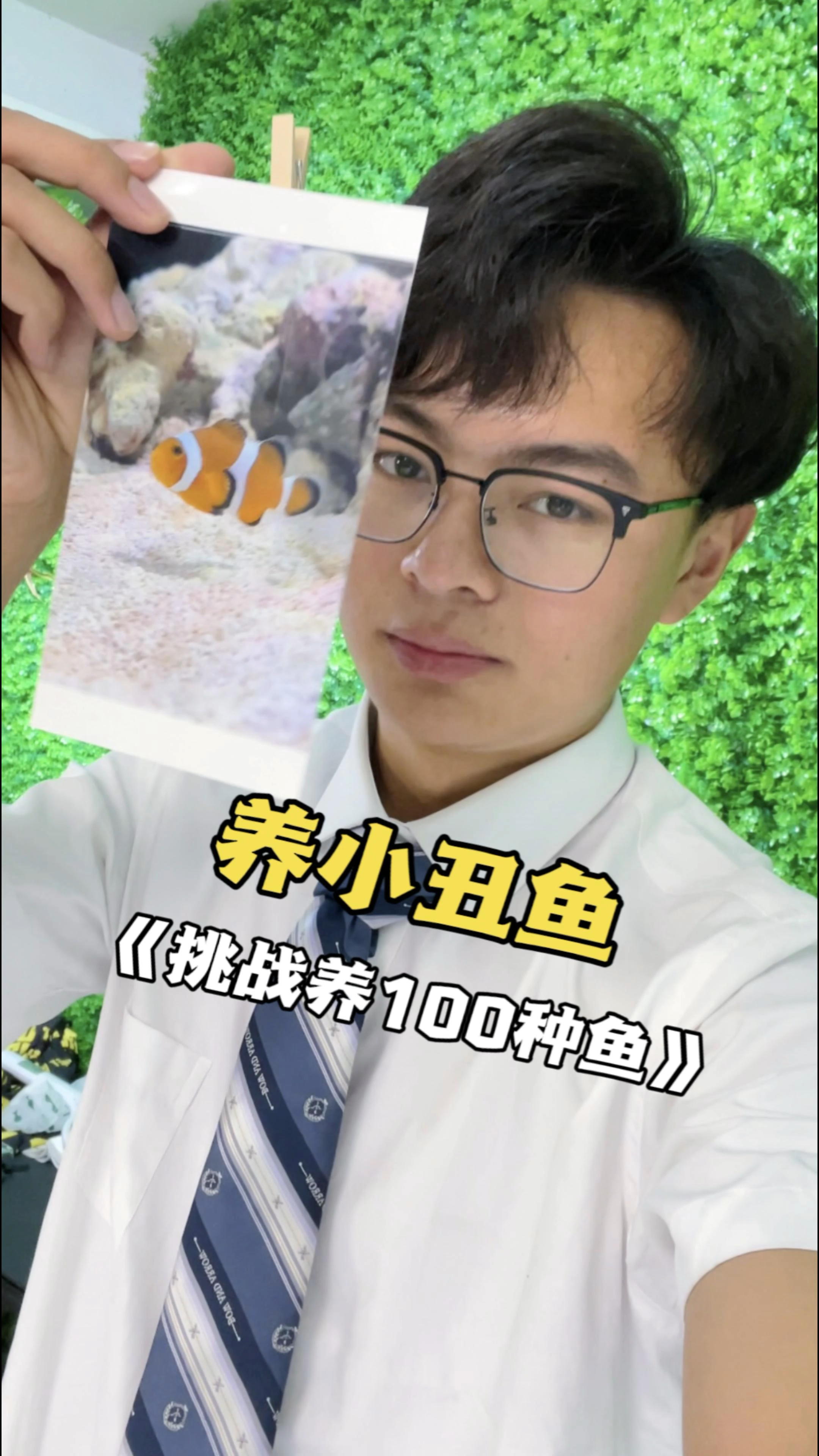 听说小丑鱼是最好养的海洋生物