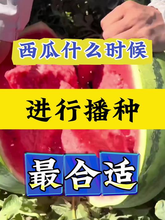 西瓜什么时候播种最好