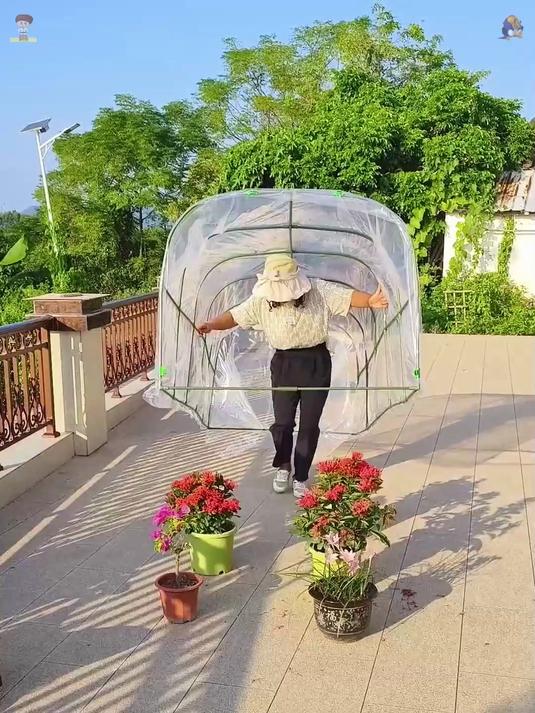 多功能保温暖房!阳台庭院小菜棚,防雨保暖全拿捏