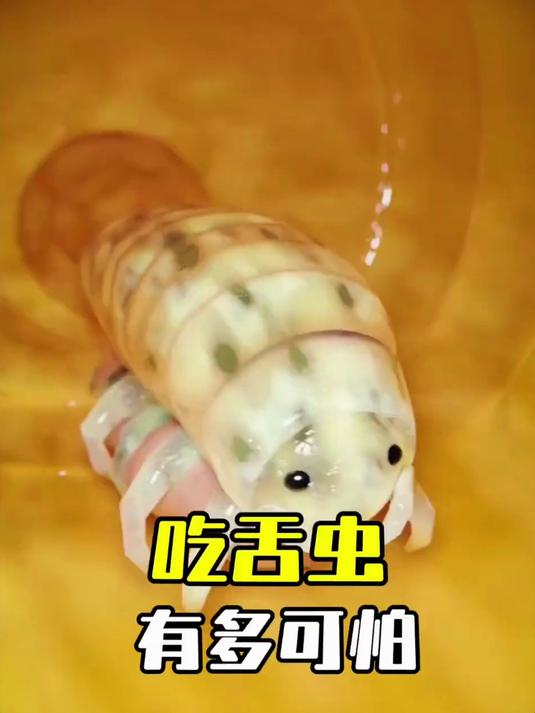 鱼类寄生虫鱼虱到底是如何成为鱼舌头的？