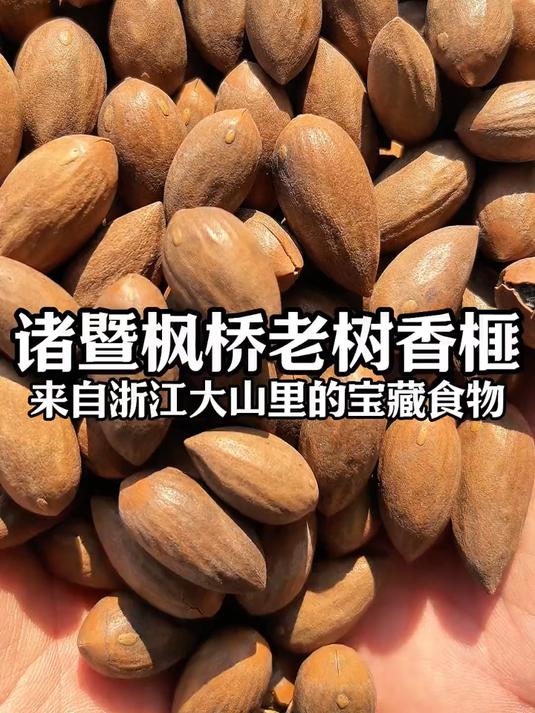 老师傅古法炒制的诸暨香榧,吃起来咸香酥脆,没吃过的可以尝尝哦