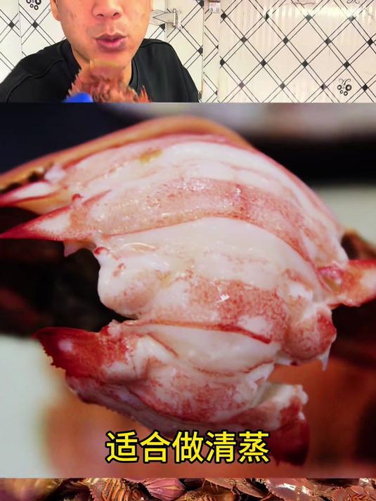 第一波活琵琶虾回港啦