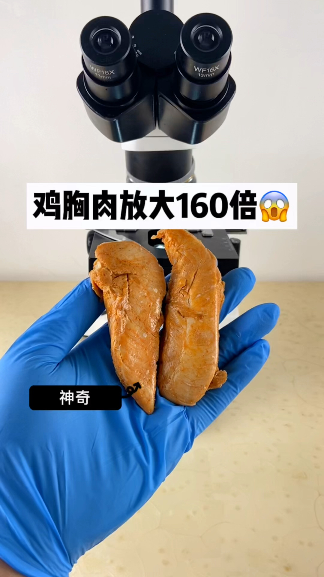 鸡胸肉放大160倍看看是什么样子的