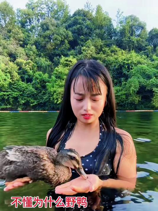我真不明白野鸭为什么要咬住我的手不放呢