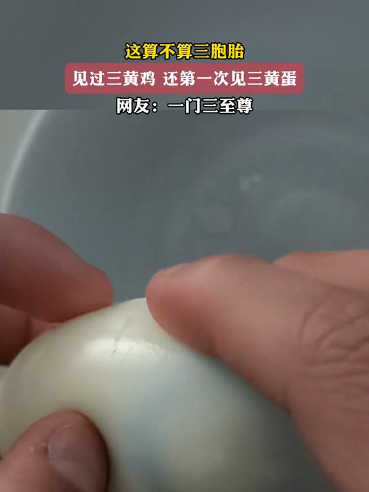 见过三黄鸡,还第一次见三黄蛋,网友:一门三至尊