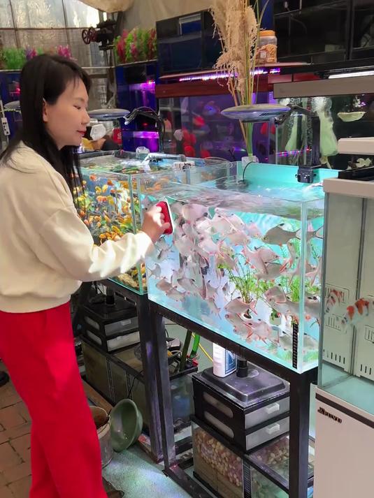 鱼缸磁力刷，强磁磁力，清洁效果好，大缸小缸都能用！
