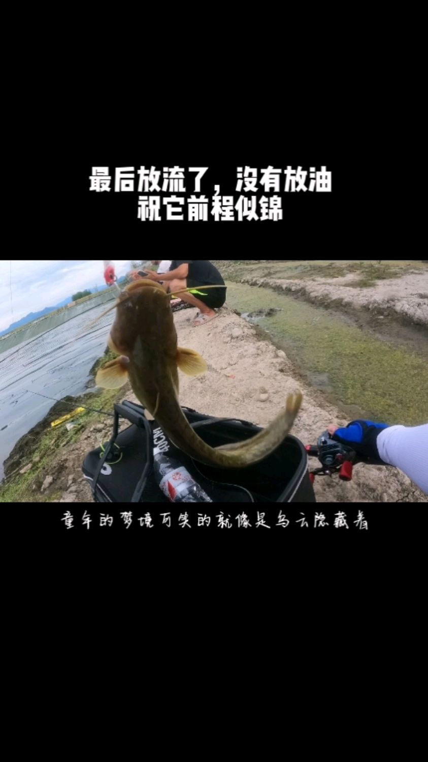 西安路亚鲶鱼