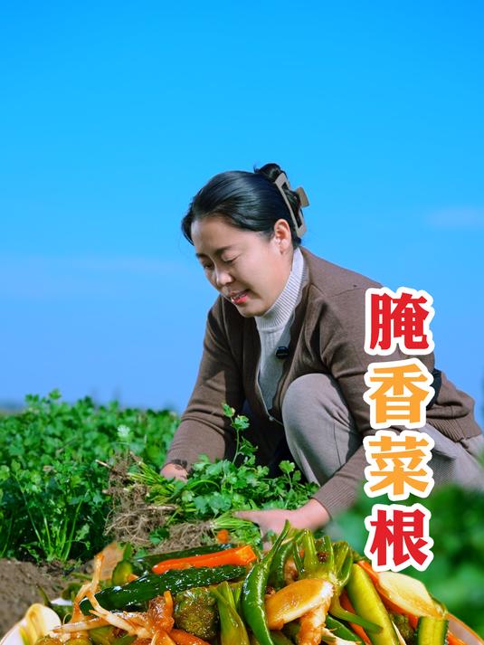 腌好的香菜根,口感爽脆无论是搭配白粥还是米饭都让人食欲大增