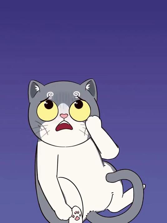 猫为什么喜欢面包米饭