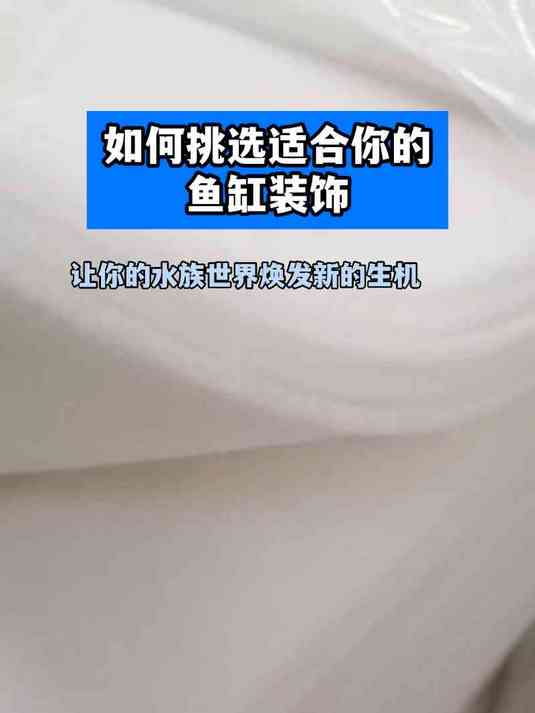 如何挑选适合你的鱼缸装饰