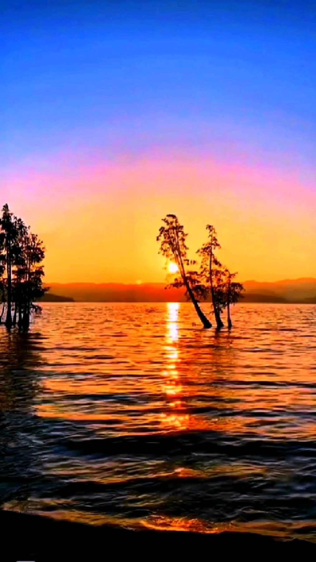 走心的纯音乐《大鱼海棠》,可唤起了你内心深处的情感?