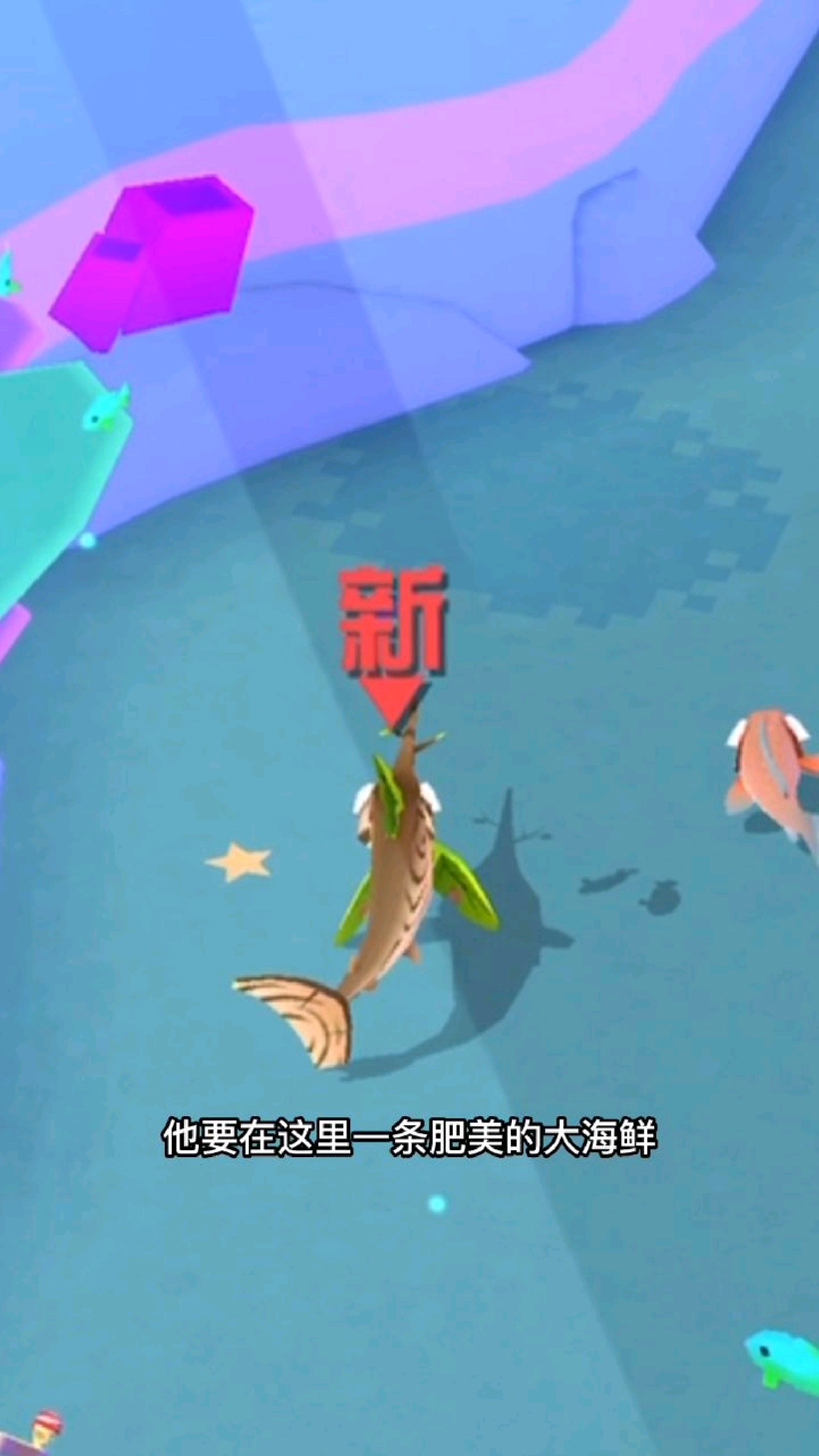 罗德来到海洋抓到一条肥美的剑鱼