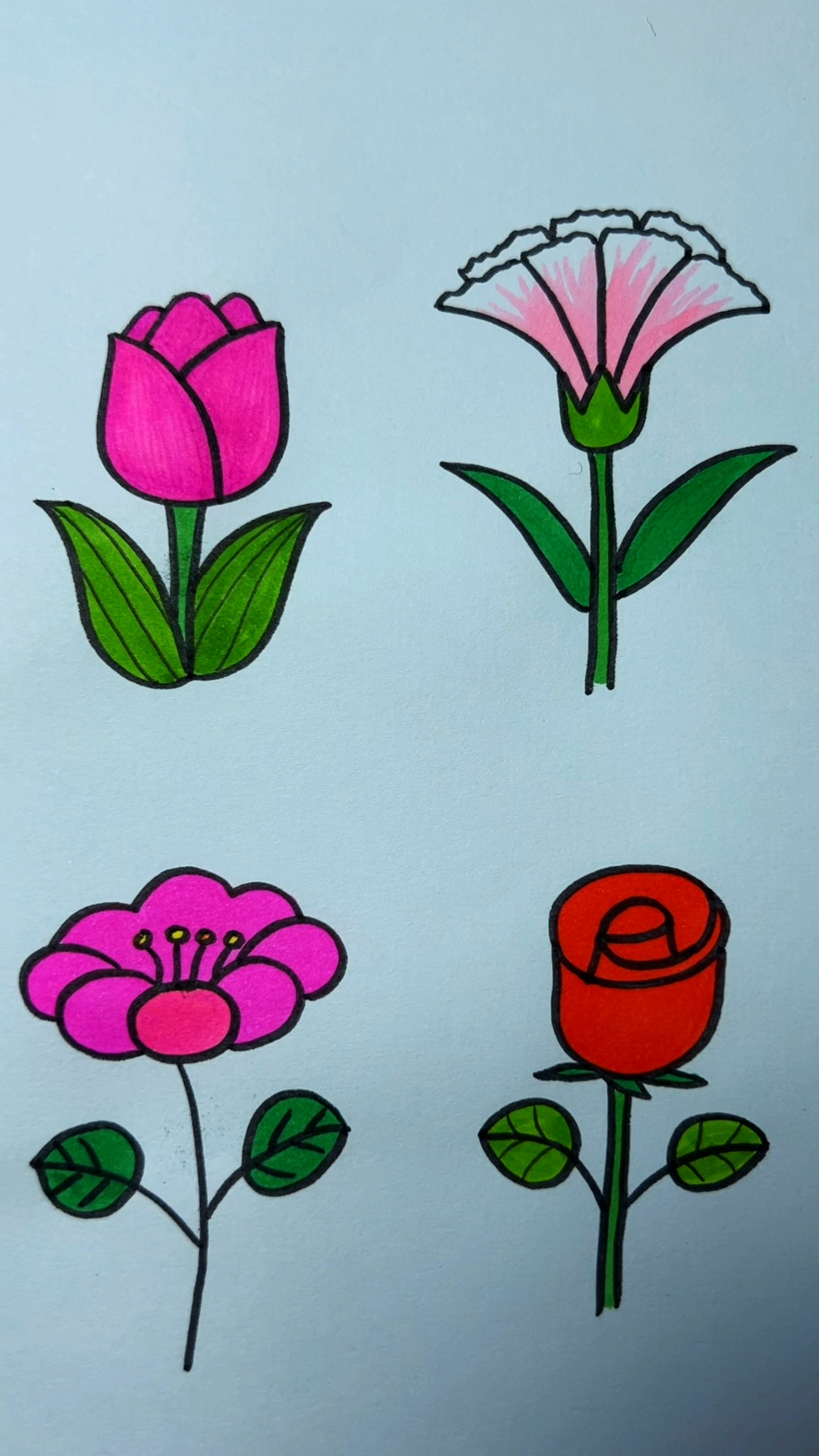 简笔画各种花