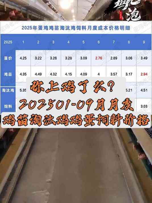2025年1-9月月度鸡蛋、鸡苗、淘汰鸡、饲料价格参考!