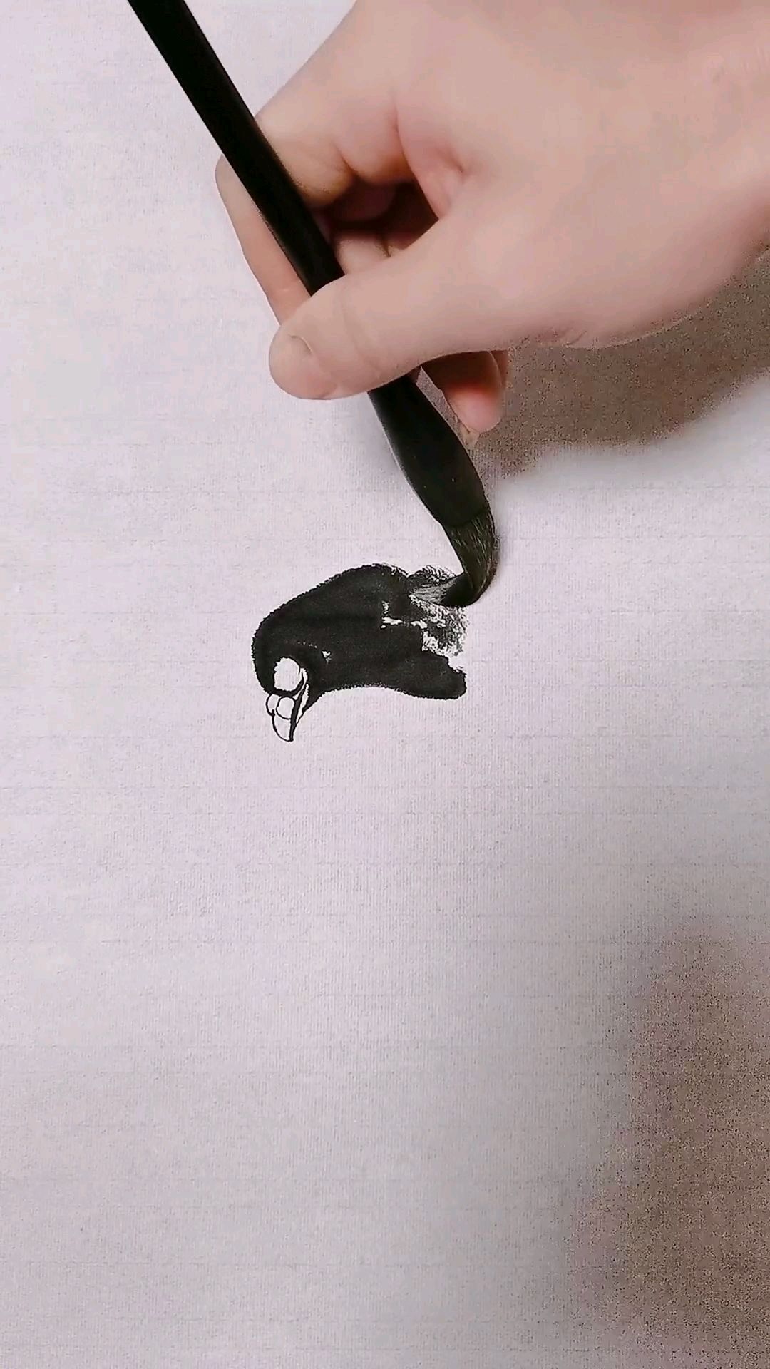 大鸽画法仔细看