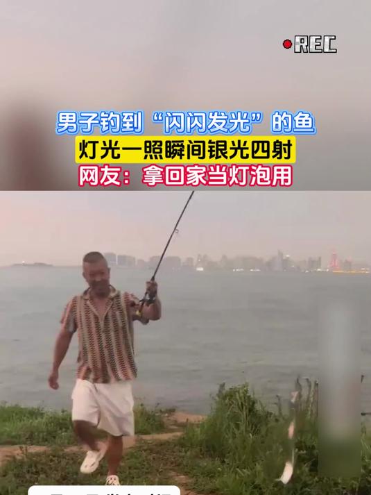 男子钓到“闪闪发光”的鱼,灯光一照瞬间银光四射,网友:拿回家当灯泡用