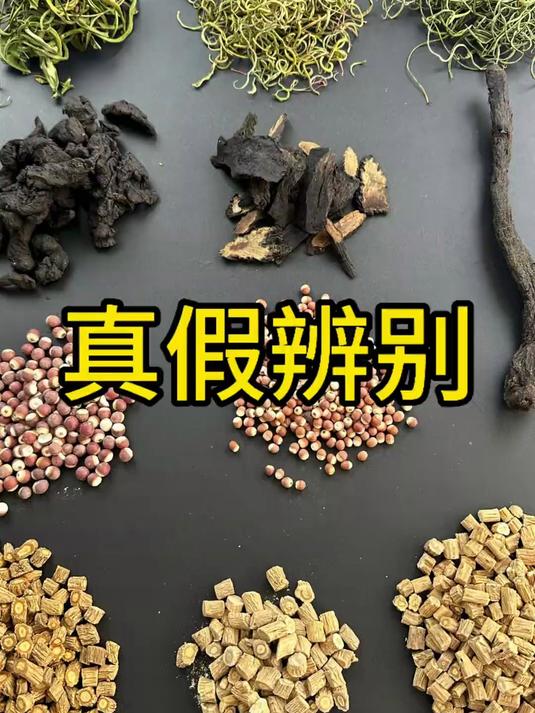 中草药的真假你会辨别吗
