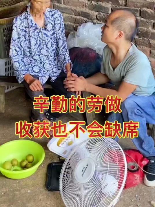 黄花菜是祁东西边区最主要的农产品