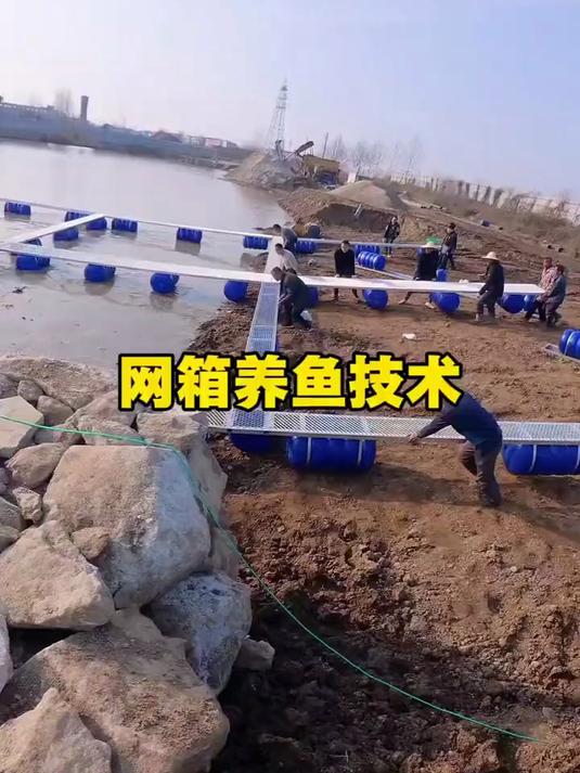 掌握科学养鱼方法提升水质养出健康鱼儿