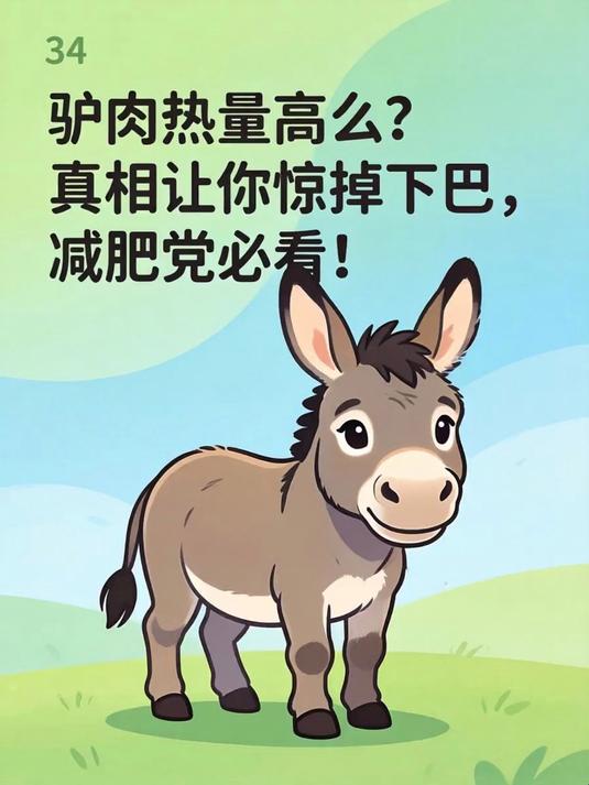 驴肉热量高么?真相让你惊掉下巴,减肥党必看!