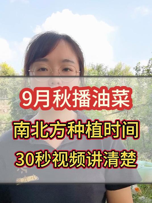 9月秋播油菜,南北方种植时间,30秒视频讲清楚