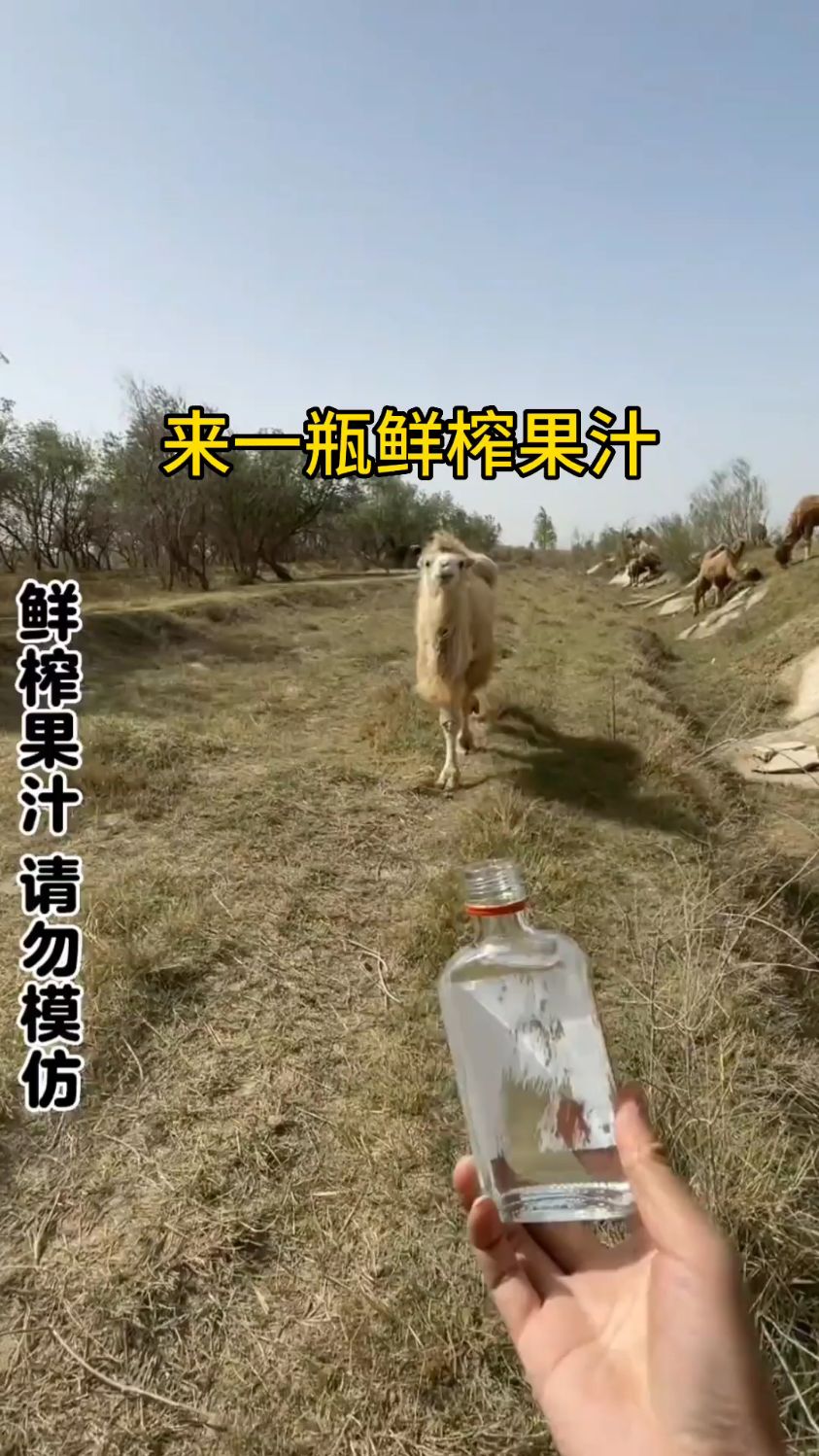 来一瓶鲜榨果汁