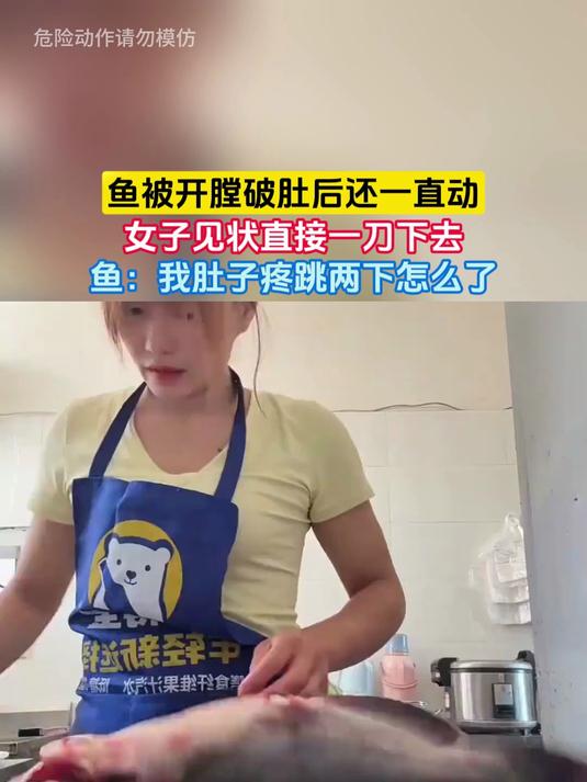 鱼被开膛破肚后还一直动，女子见状直接一刀下去，鱼：我肚子疼跳两下怎么了