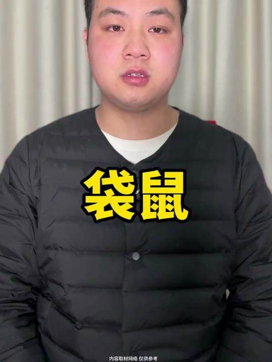 袋鼠的尾巴有何作用?