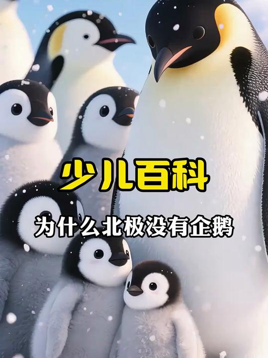 为什么北极没有企鹅呢