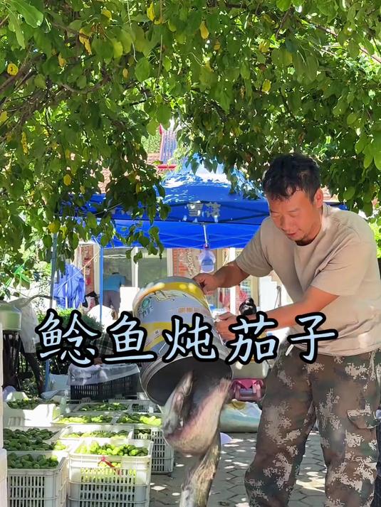 今天依旧安排大伙的伙食 整他两条江里的鲶鱼 贴它一锅大饼子