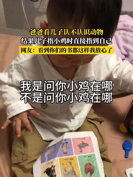 爸爸看儿子认不认识动物,结果儿子指小鸡时直接指到自己