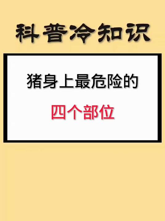 猪身上危险的部位