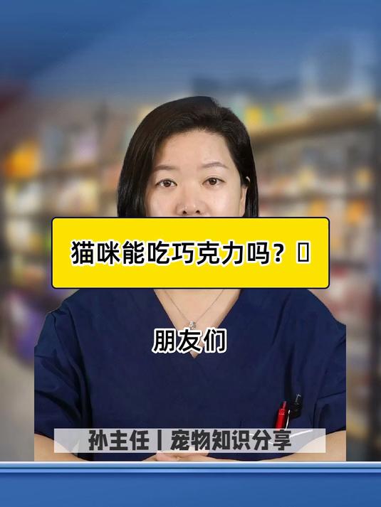 猫咪能吃巧克力吗?_